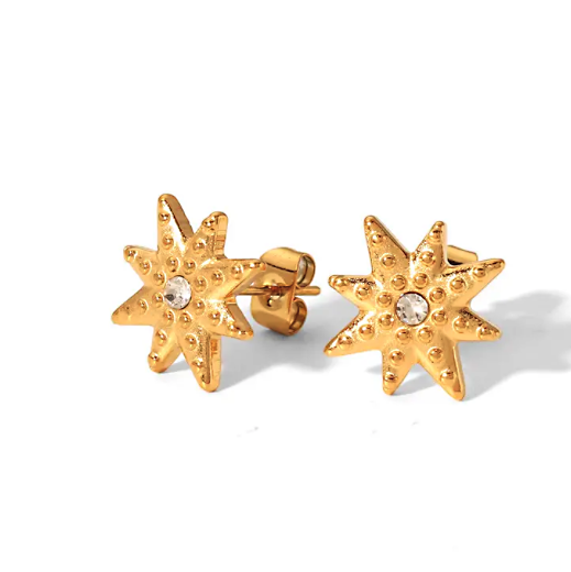 Stainless Star Earrings*