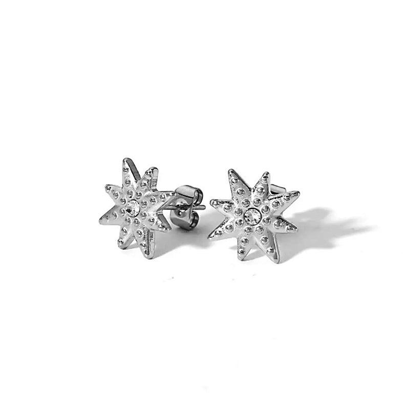 Stainless Star Earrings*